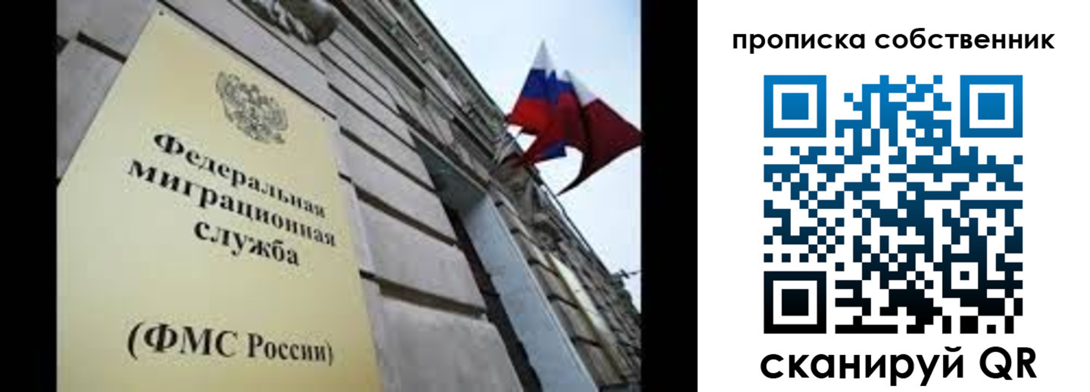 прописка гарантия в Камбарке